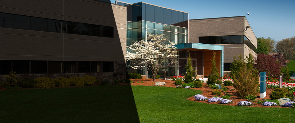 Trevilians Landscapers