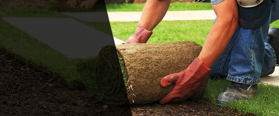 Trevilians Landscapers